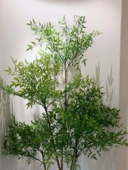 -VE专注问题肌·赛诺龙&科学美肤中心