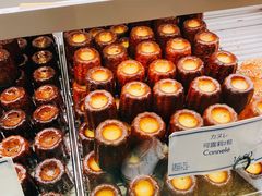 可露丽-Perma Café樸門(五羊店)