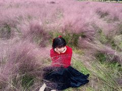 -西北大学(桃园校区)