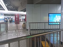 -东方体育中心(地铁站)