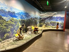 -南宫五洲植物乐园