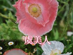 -国家植物园