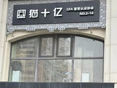 -猫十亿·布偶金渐层·曼基康矮脚猫舍(青年路店)
