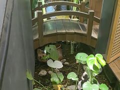 -邈墨茶馆(凤起路店)