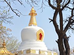 -护国法轮寺