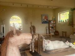 -小时光咖啡馆(开森度假森林店)