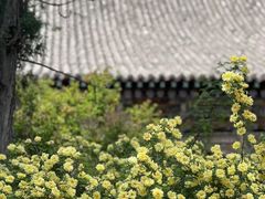 -丹噶尔古城