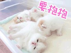 -北京海润艾丽华酒店及服务公寓
