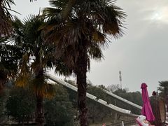 -苏州太湖西山岛开心农场
