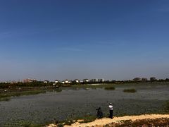 -天津东丽湖风景区