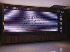 -百丽宫影城(CGS激光苏宁广场店)
