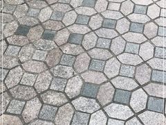 -松树干拌面店