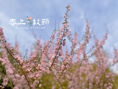 -大宁公园