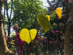 -白塘生态植物园