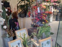 -植物学家的女儿(北马道巷店)