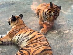 -南昌动物园