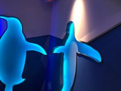 -米乐星世界KTV