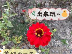 -嘉北郊野公园