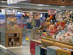 -厦门高崎国际机场-T3航站楼