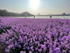 -顺峰山公园
