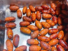 -英雄故事地摊烤肉(马驹桥店)