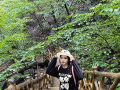 -洛阳白云山景区