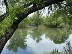 -长兴太湖图影湿地文化园