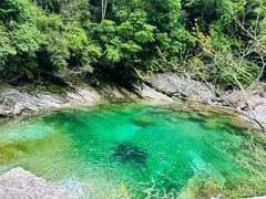 -黄山翡翠谷景区