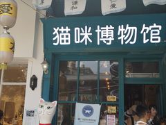 -猫咪博物馆(顶澳仔猫街店)