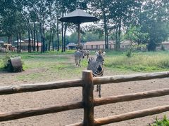 -大连森林动物园