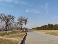 -汉长安城未央宫国家考古遗址公园