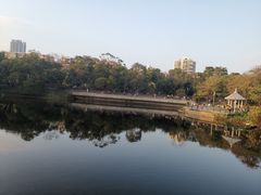 -四海公园(南山区)