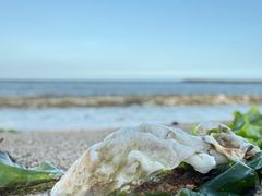 -东戴河风景区-止锚湾