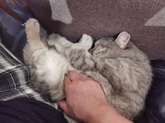 -天使咖啡(兴新街店)