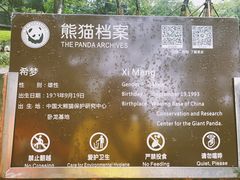 -都江堰中华大熊猫苑