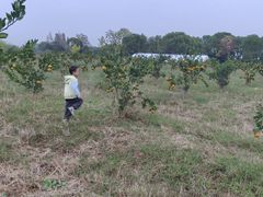 -歌斐颂巧克力小镇