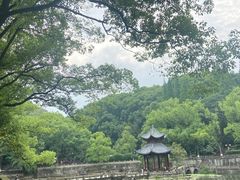 -忠山公园