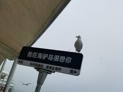 -海驴岛(荣成市)