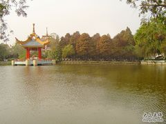-金砂公园