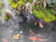 -唐河王记·南阳民间菜(国基路店)