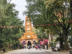 -云南勐巴娜西珍奇园
