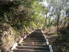 -青龙山国家森林公园