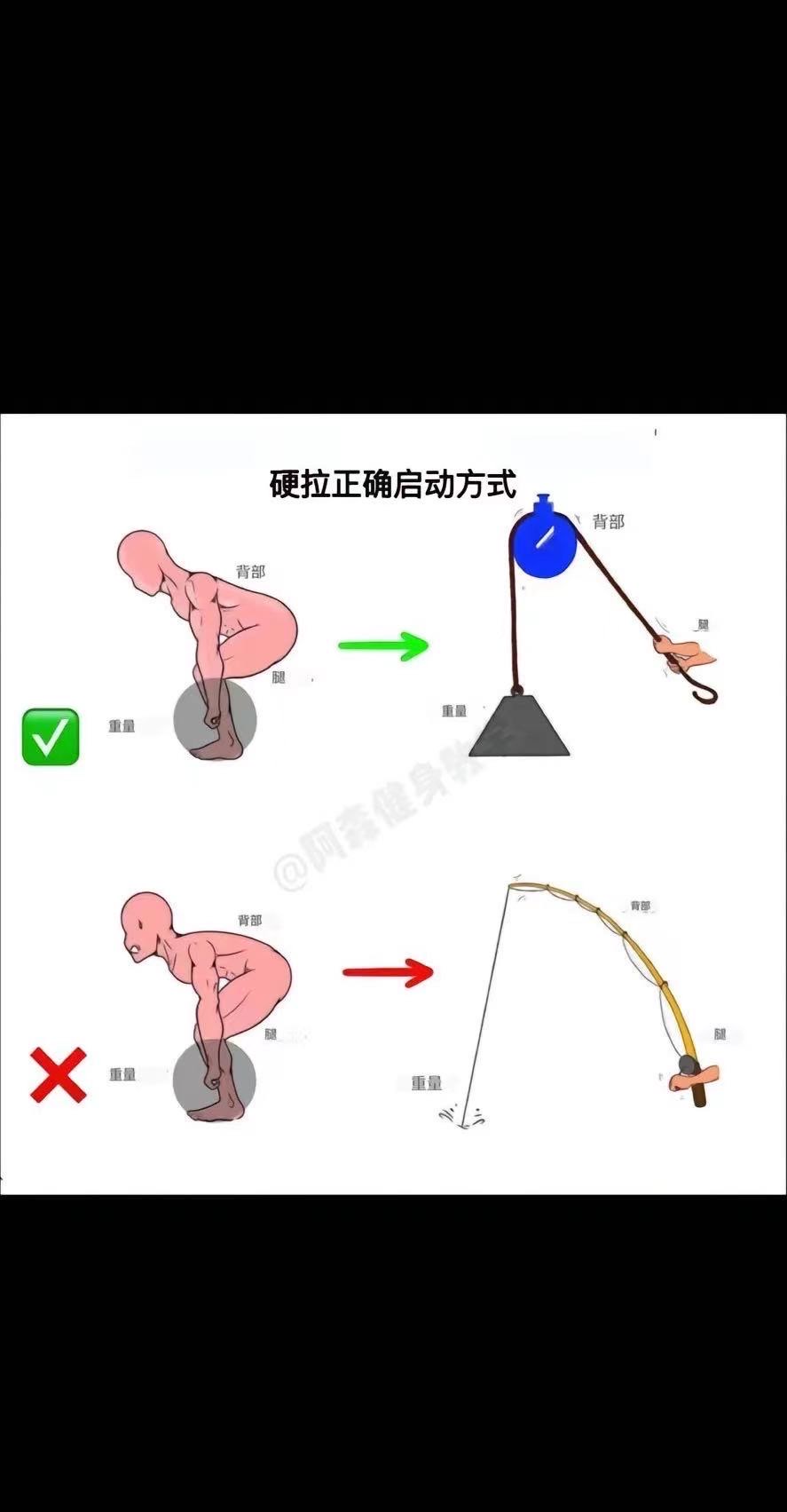 直腿哑铃硬拉图片