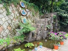 -千岛湖东南湖区