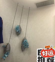 -健身堂科技美肌SPA