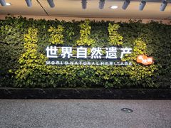 -张家界荷花国际机场