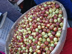 -青岛市本溪路农贸市场