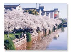 -常熟方塔园
