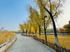 -莲花池公园