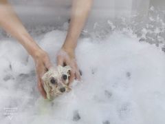 -PETKIT小佩宠物(昭化店)